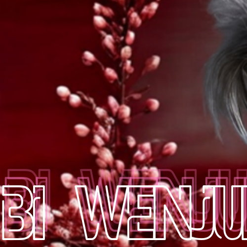 A moment captured by a fan of Bi Wenjun