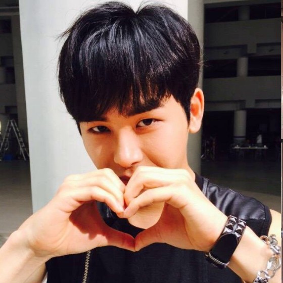Recent activity shot of Hoya