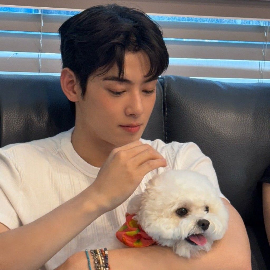 Recent activity shot of Cha Eunwoo