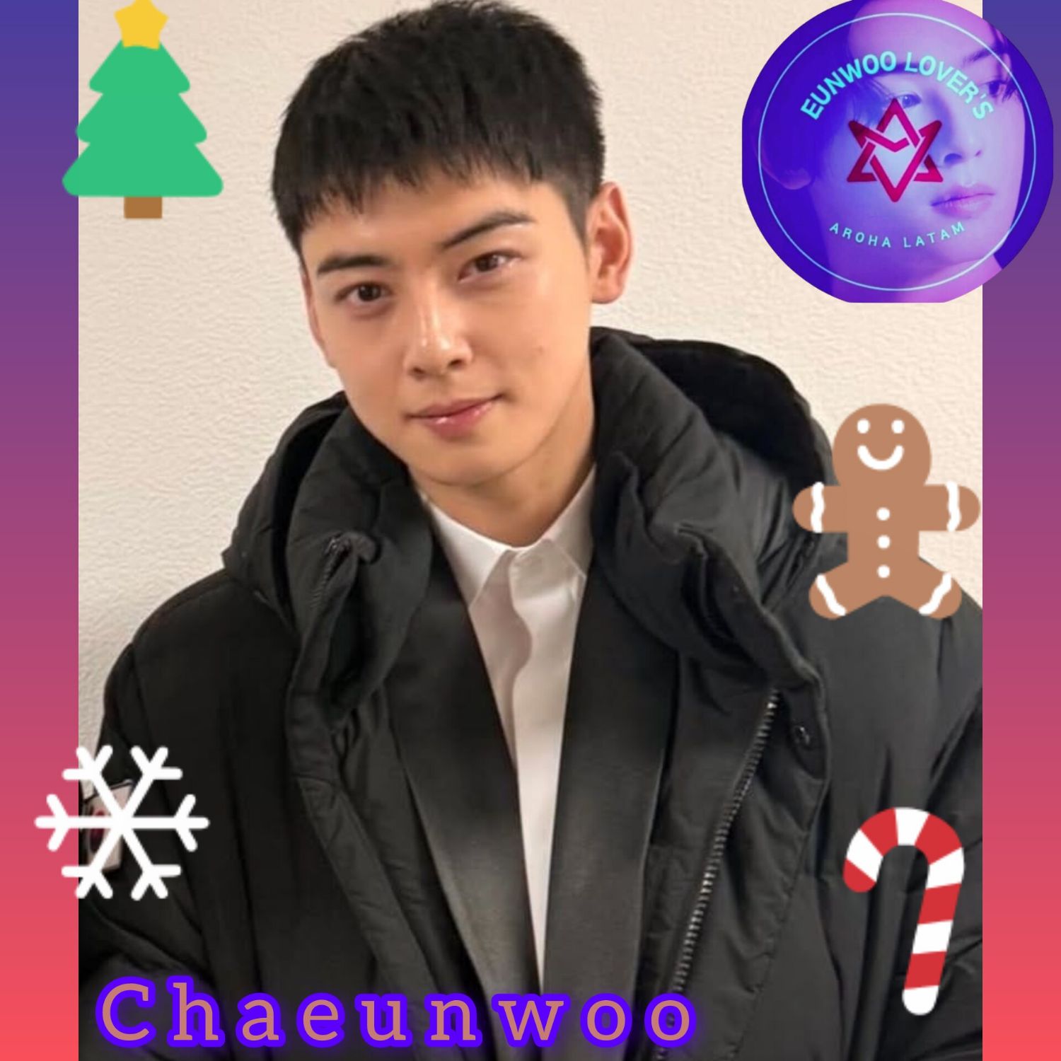 ファンが撮影したチャ・ウヌの瞬間