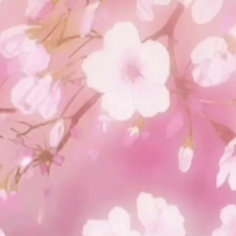 Latest photo of Park Minyoung