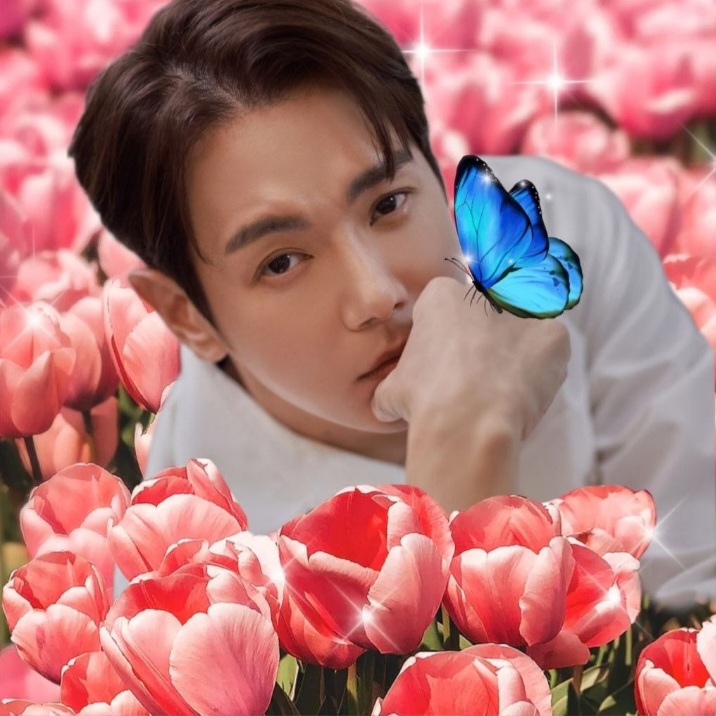 Recent activity shot of Hwanhee