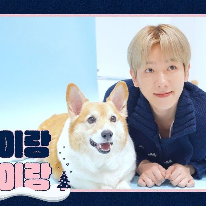 Behind-the-scenes cut of Baekhyun