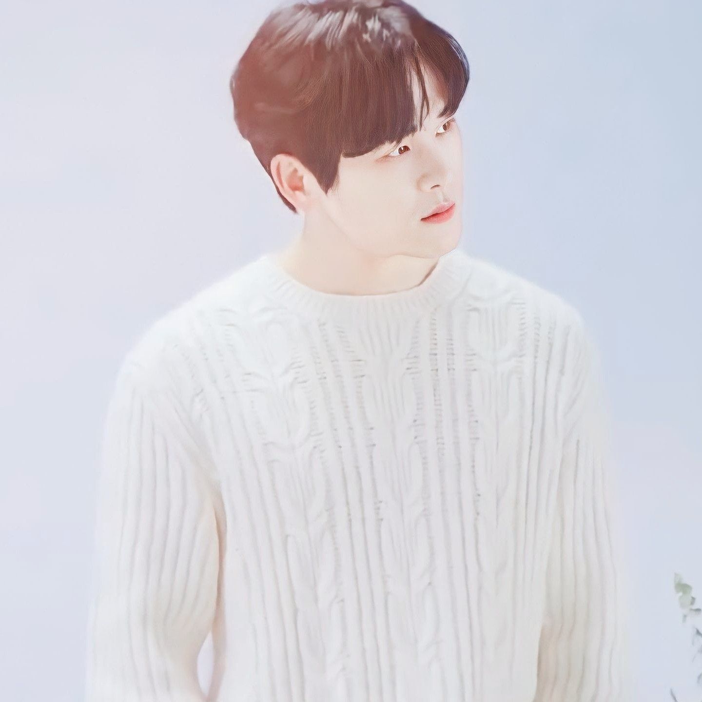Recent activity shot of Hoya