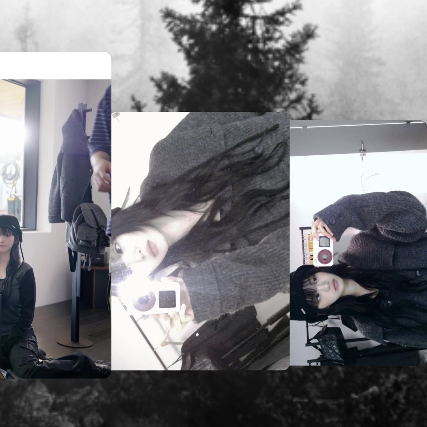 赵怡贤的最新照片