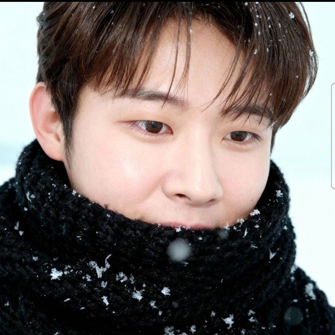 ジヌクの最近の活動ショット