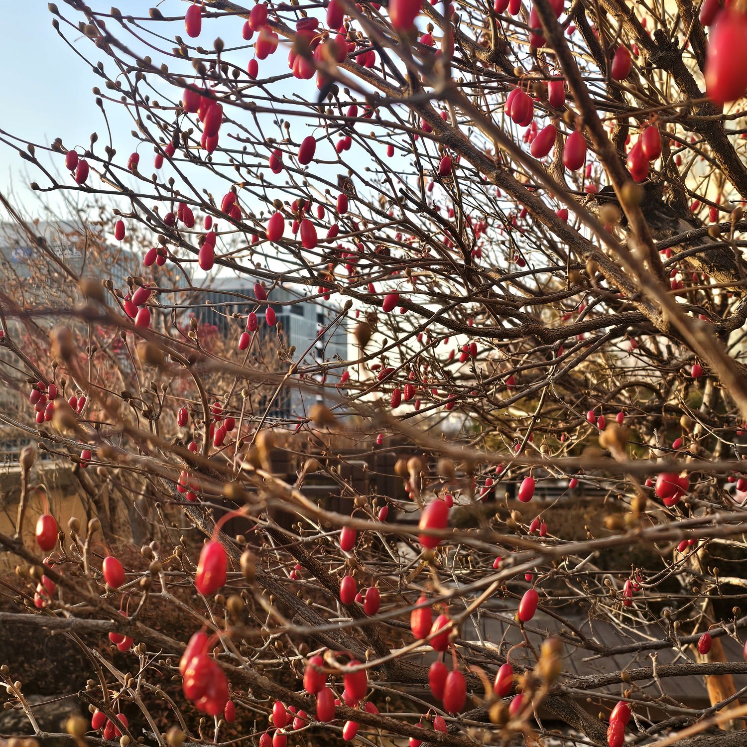 조명섭의 비하인드 컷