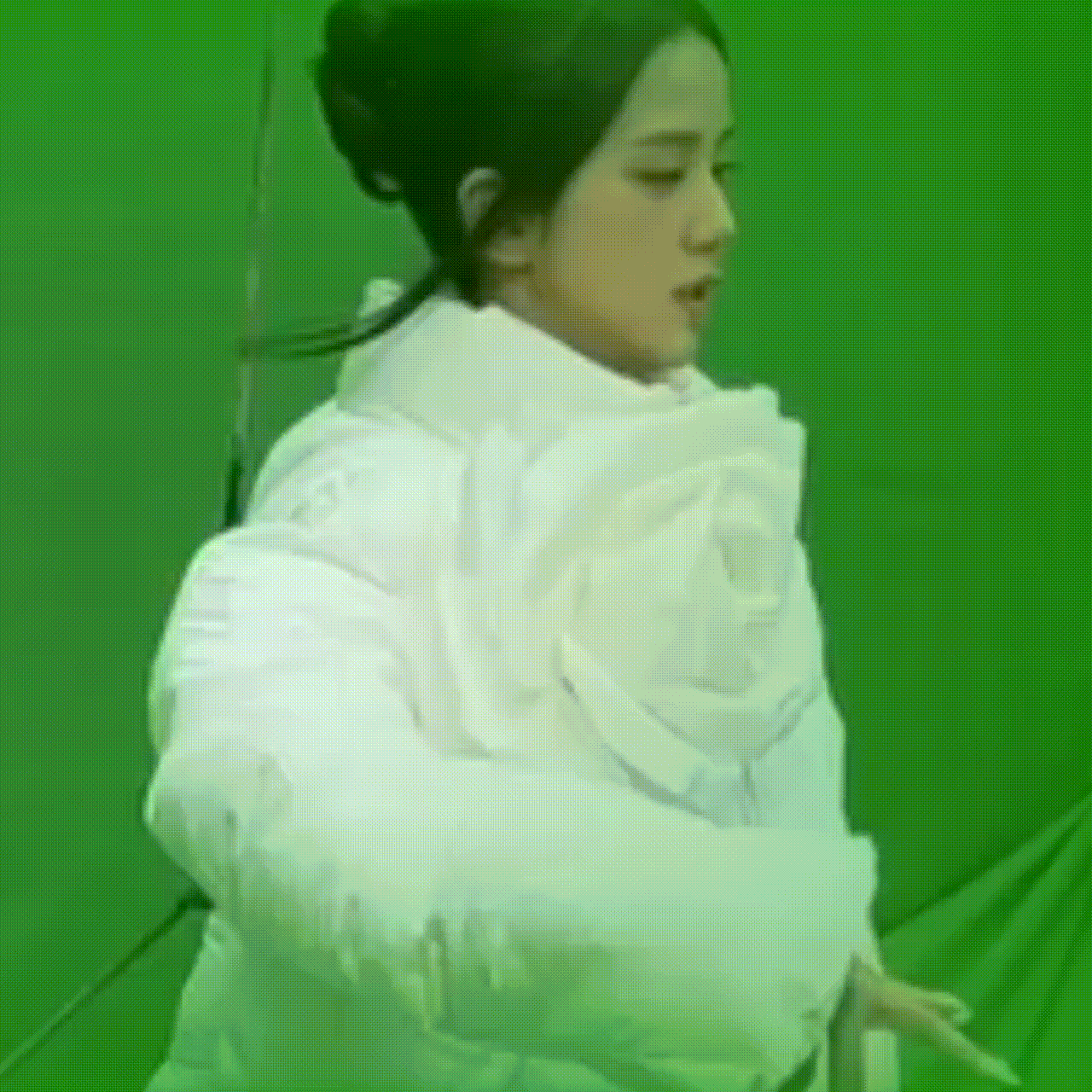 A moment captured by a fan of Jisoo (1995)
