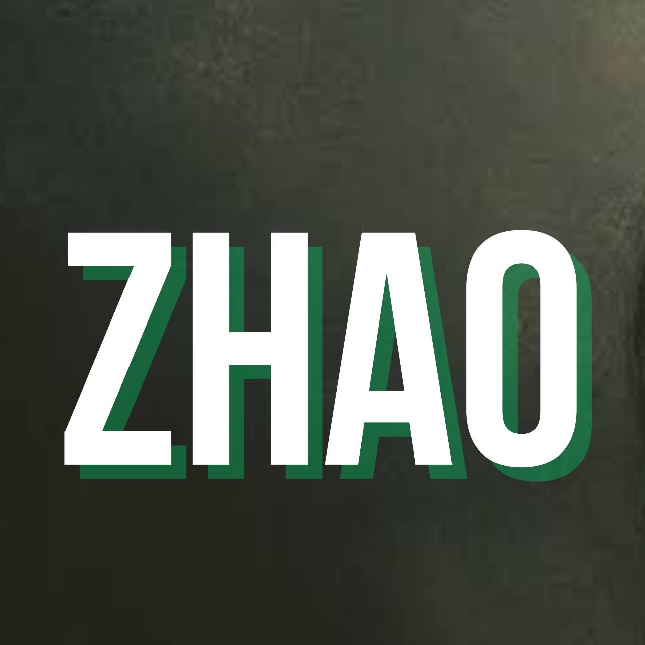 A moment captured by a fan of Zhao Liying