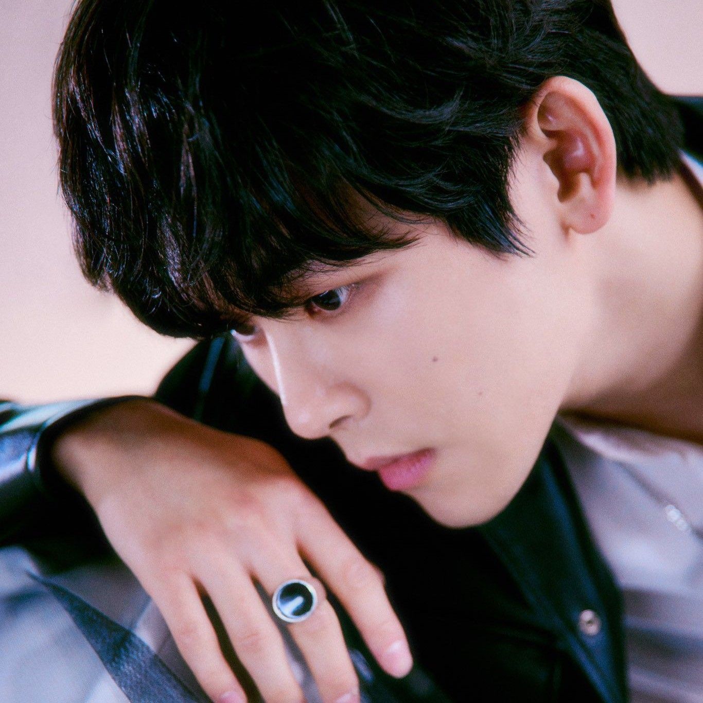 Recent activity shot of Hoya
