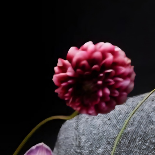 Recent activity shot of Bi Wenjun