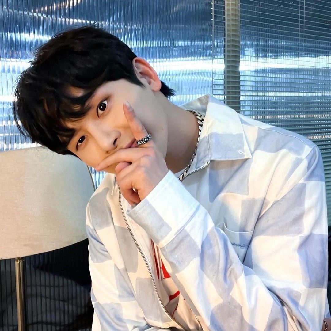 Latest photo of Hoya