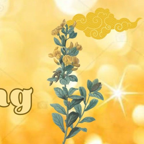 박보영의 비하인드 컷