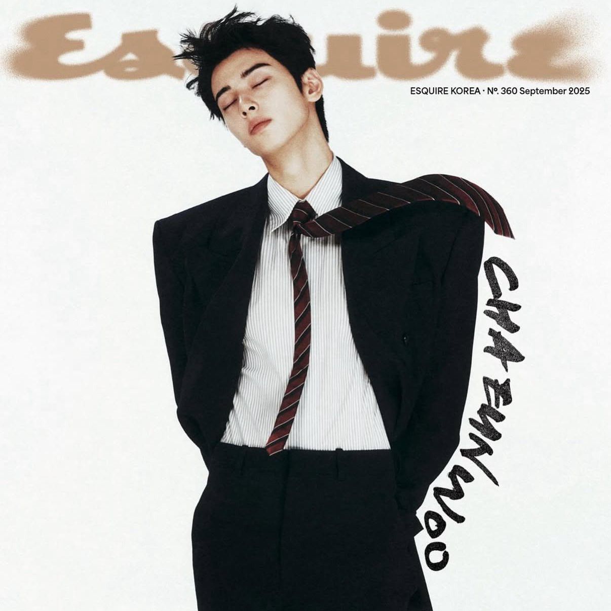 Recent activity shot of Cha Eunwoo