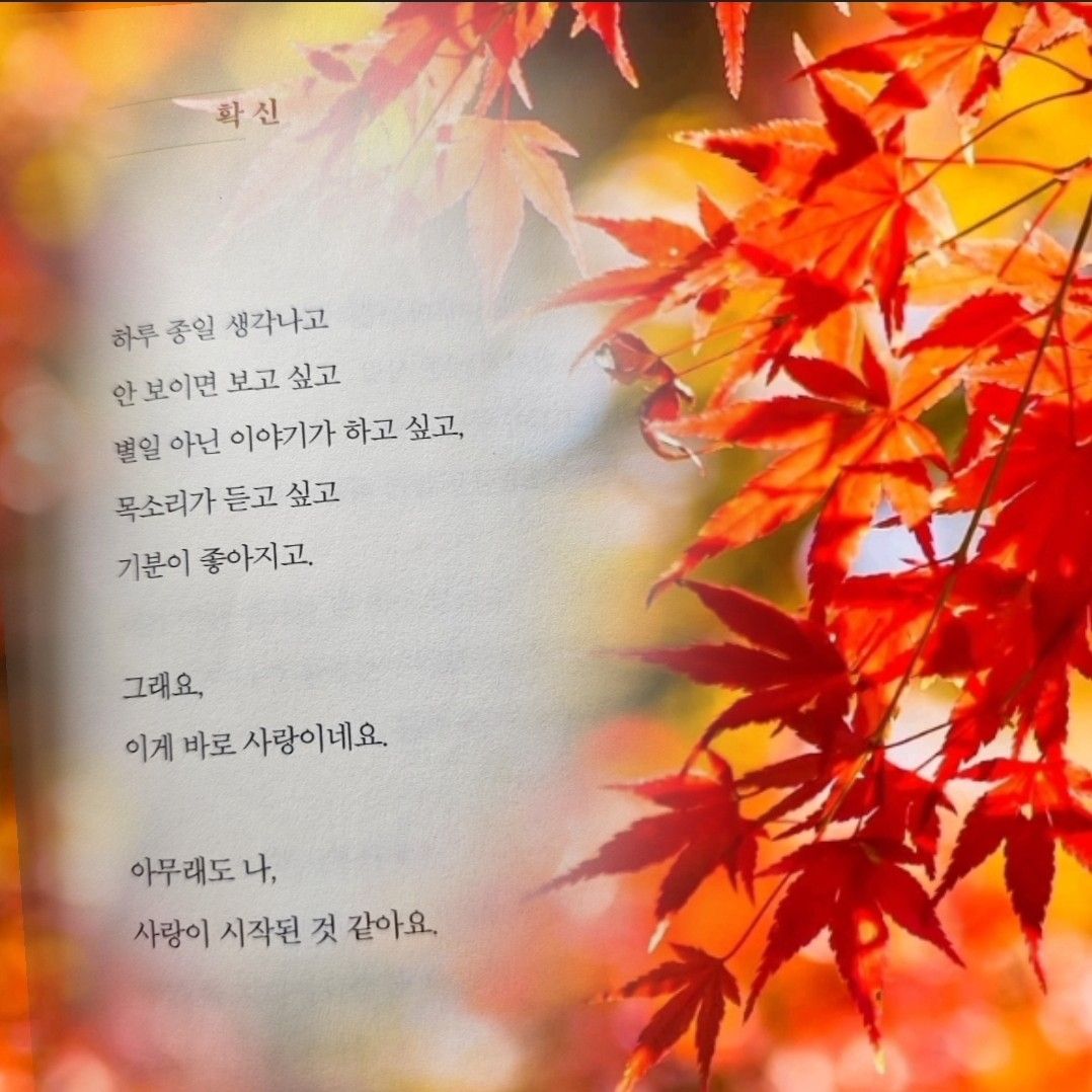 조명섭 최근 활동샷