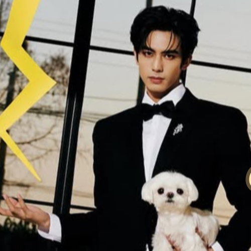 A moment captured by a fan of Song WeiLong