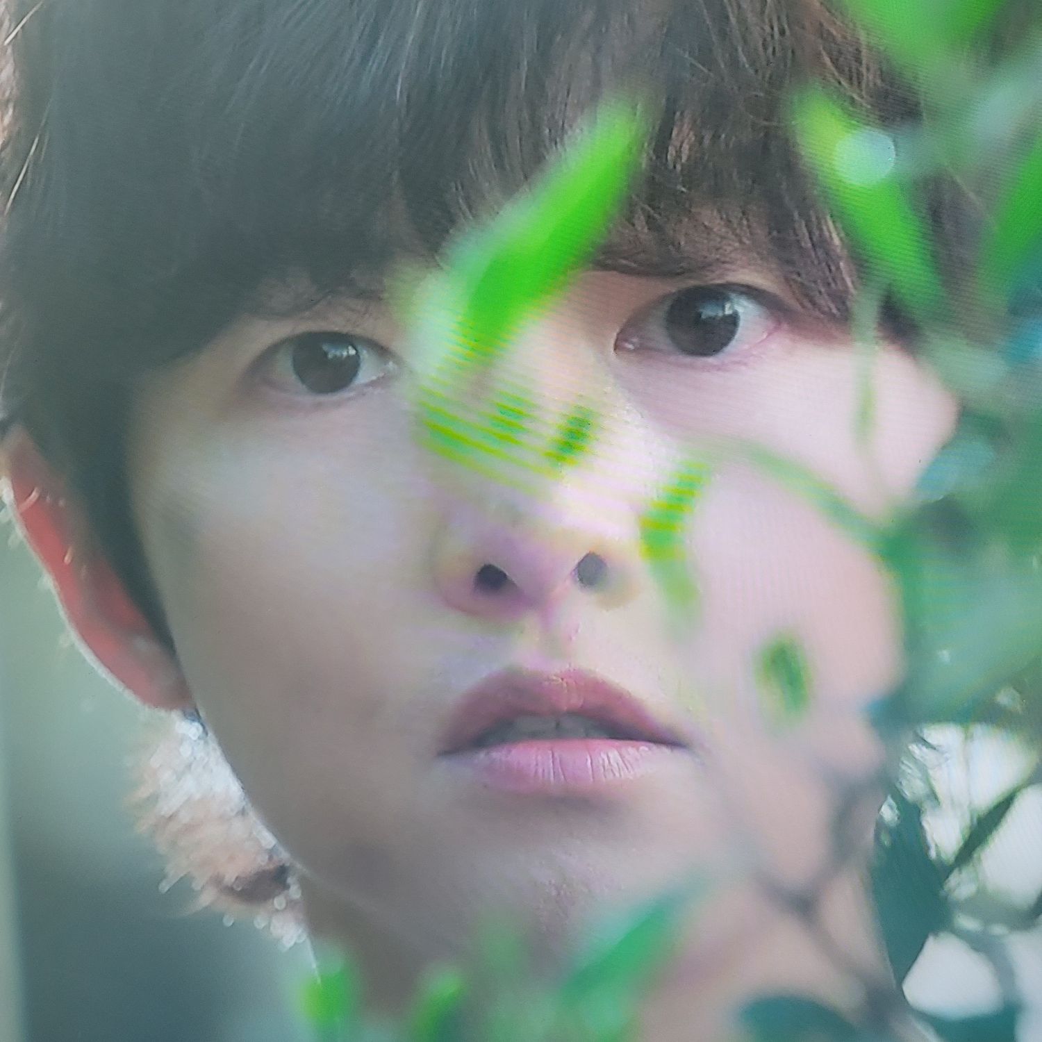 宋仲基的近期活動照