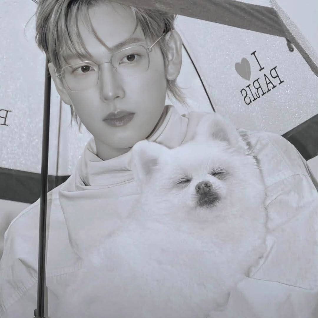 Latest photo of Yim Siwan