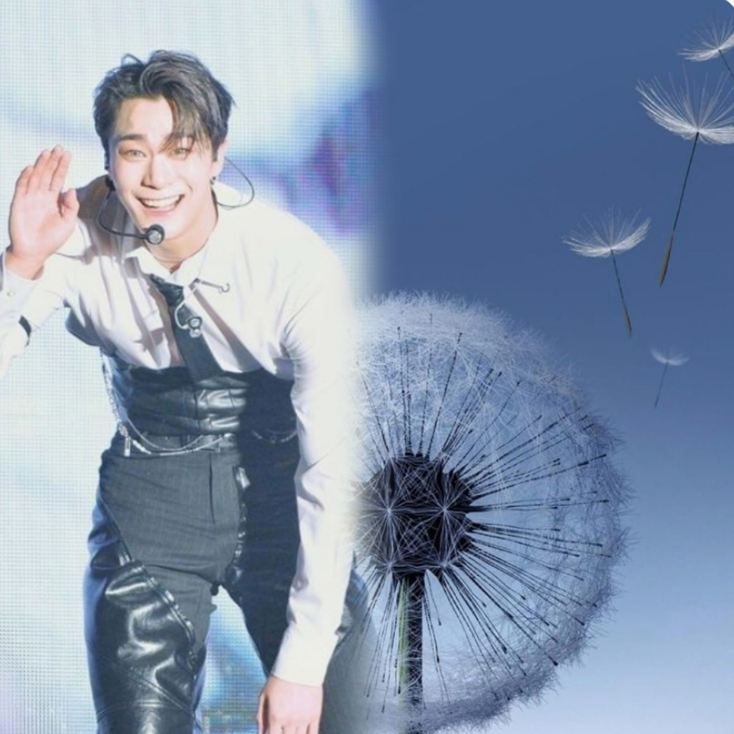 차은우 팬이 찍은 순간