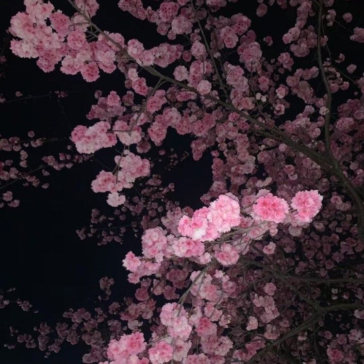 Foto kegiatan terbaru dari KAI