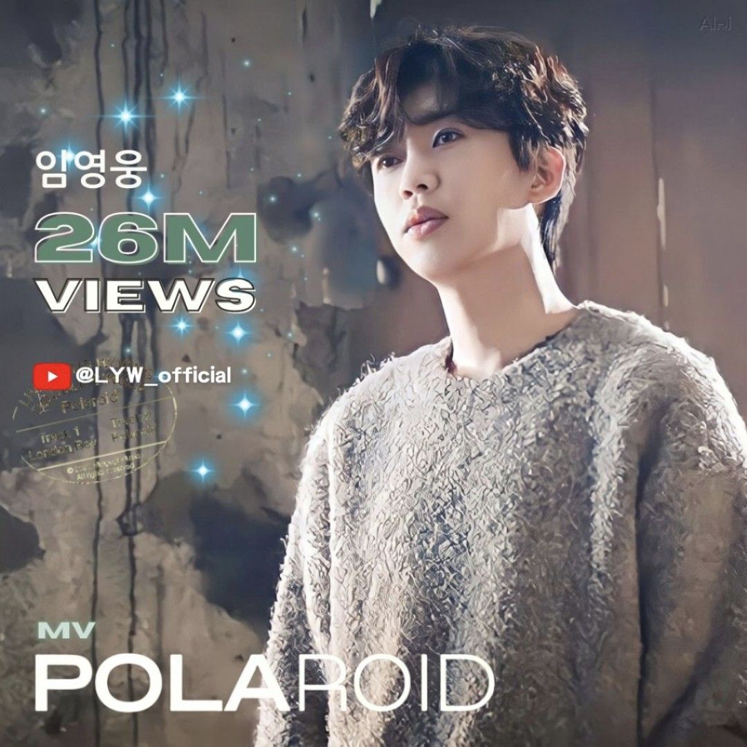 임영웅 팬이 찍은 순간