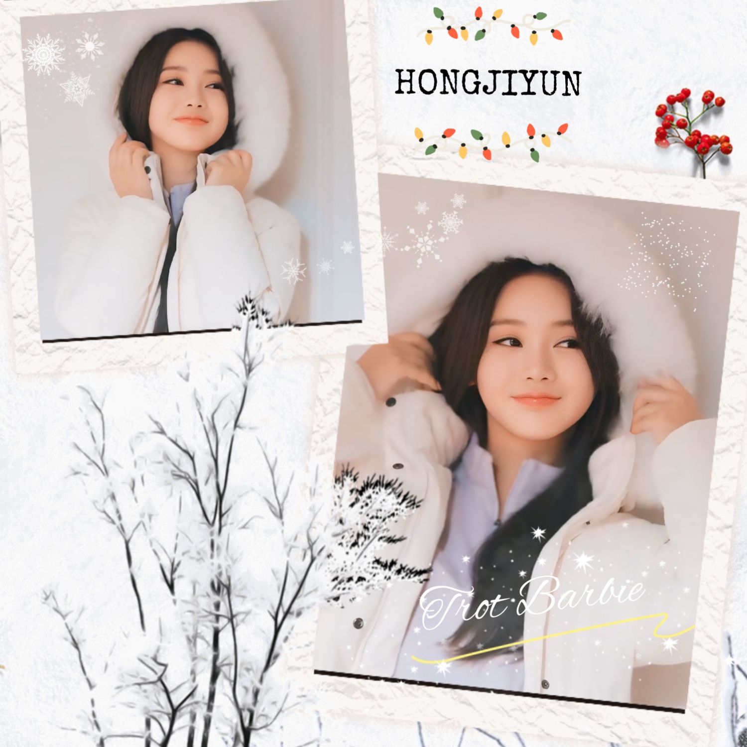 지금 주목받는 셀럽 게시글