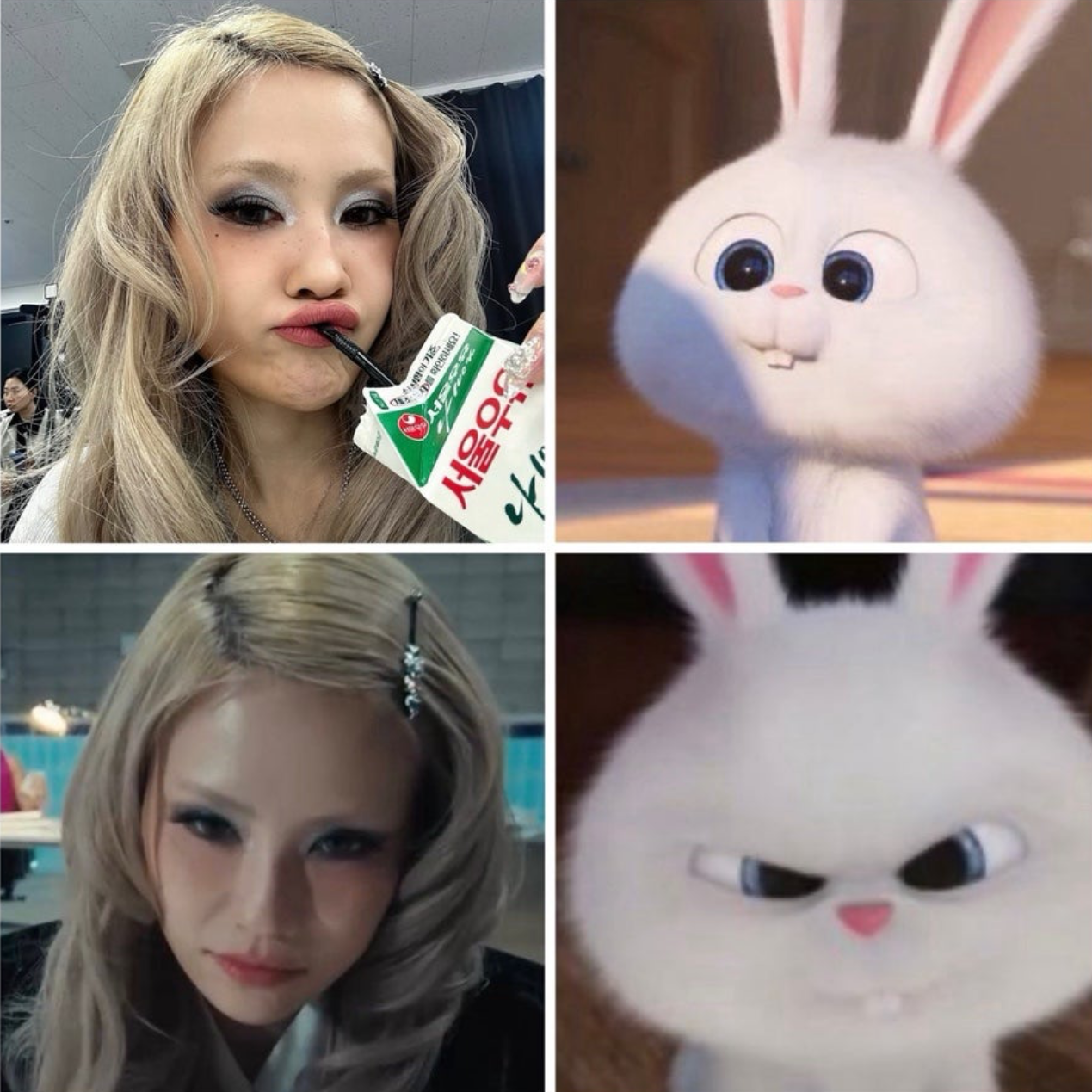 Latest photo of IBUKI