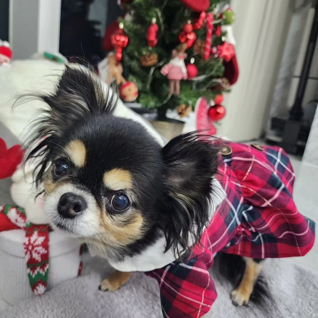 A moment captured by a fan of Lee Joongi