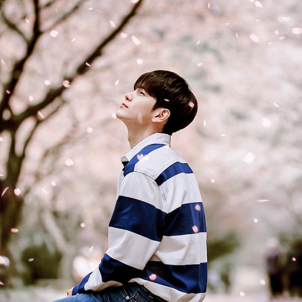 A moment captured by a fan of Ong Seongwu