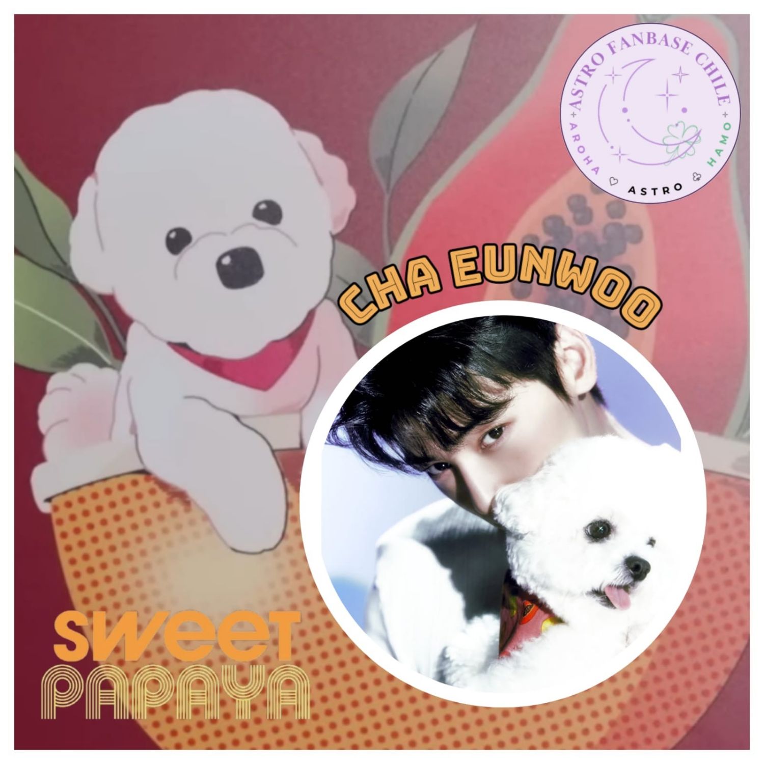 A moment captured by a fan of Cha Eunwoo