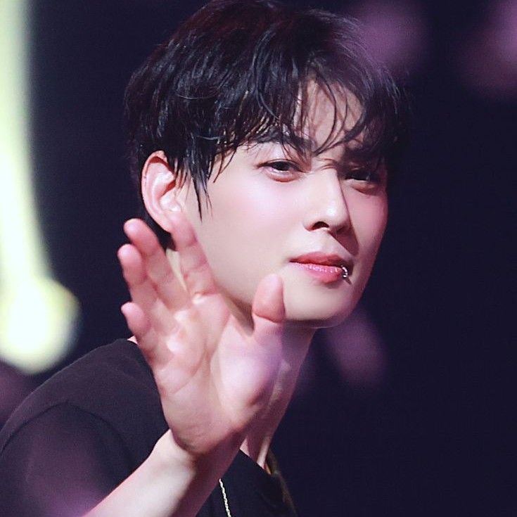 粉絲拍下的車銀優瞬間