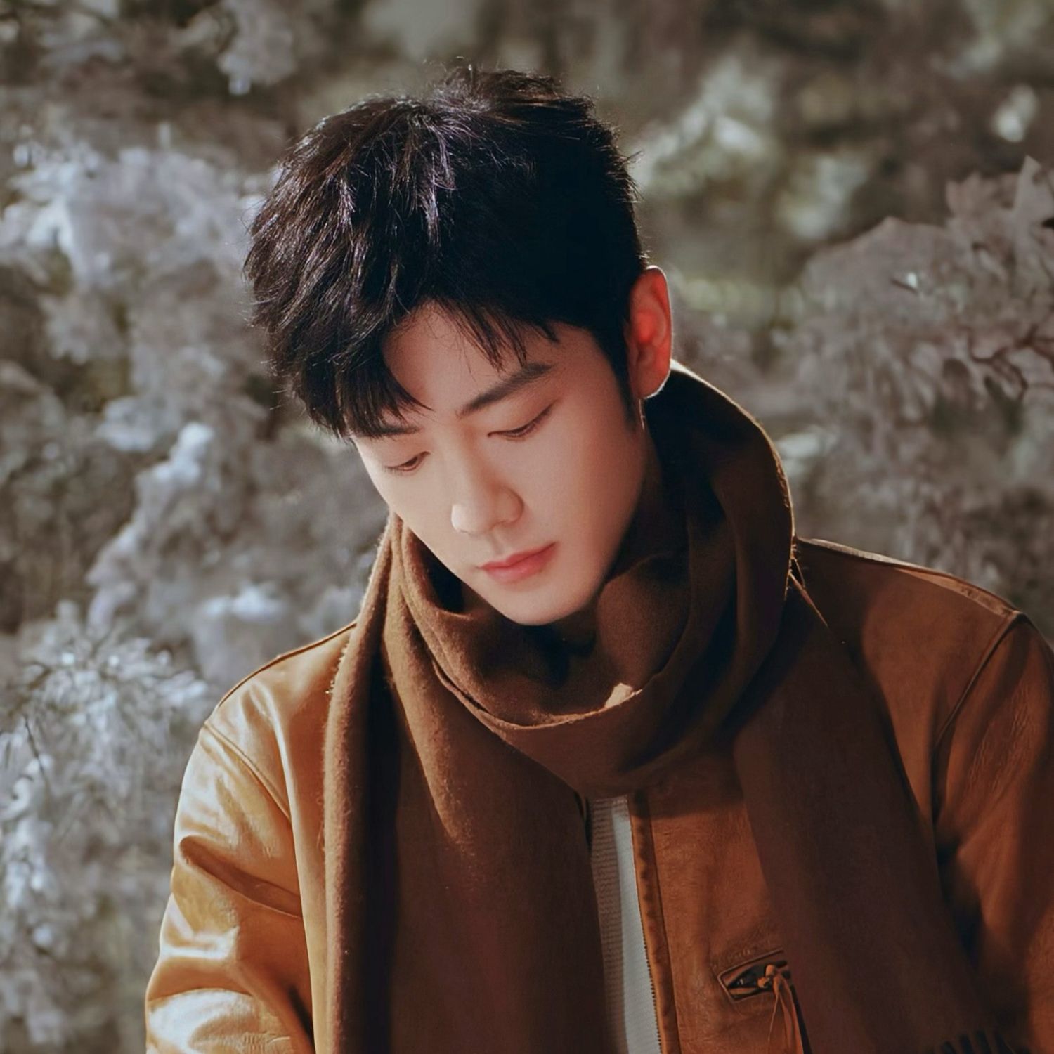 Latest photo of Xiao Zhan