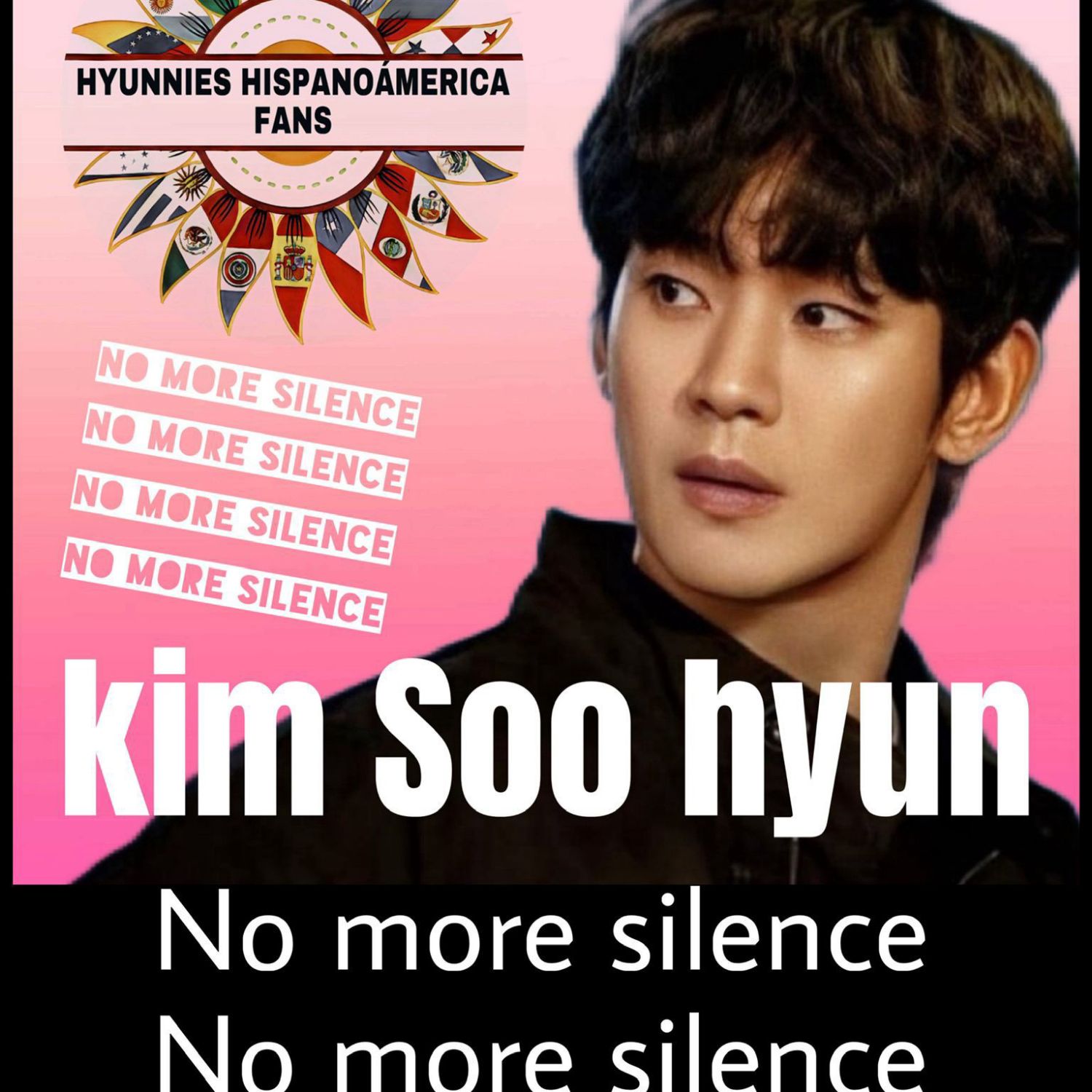 A moment captured by a fan of Kim Soohyun