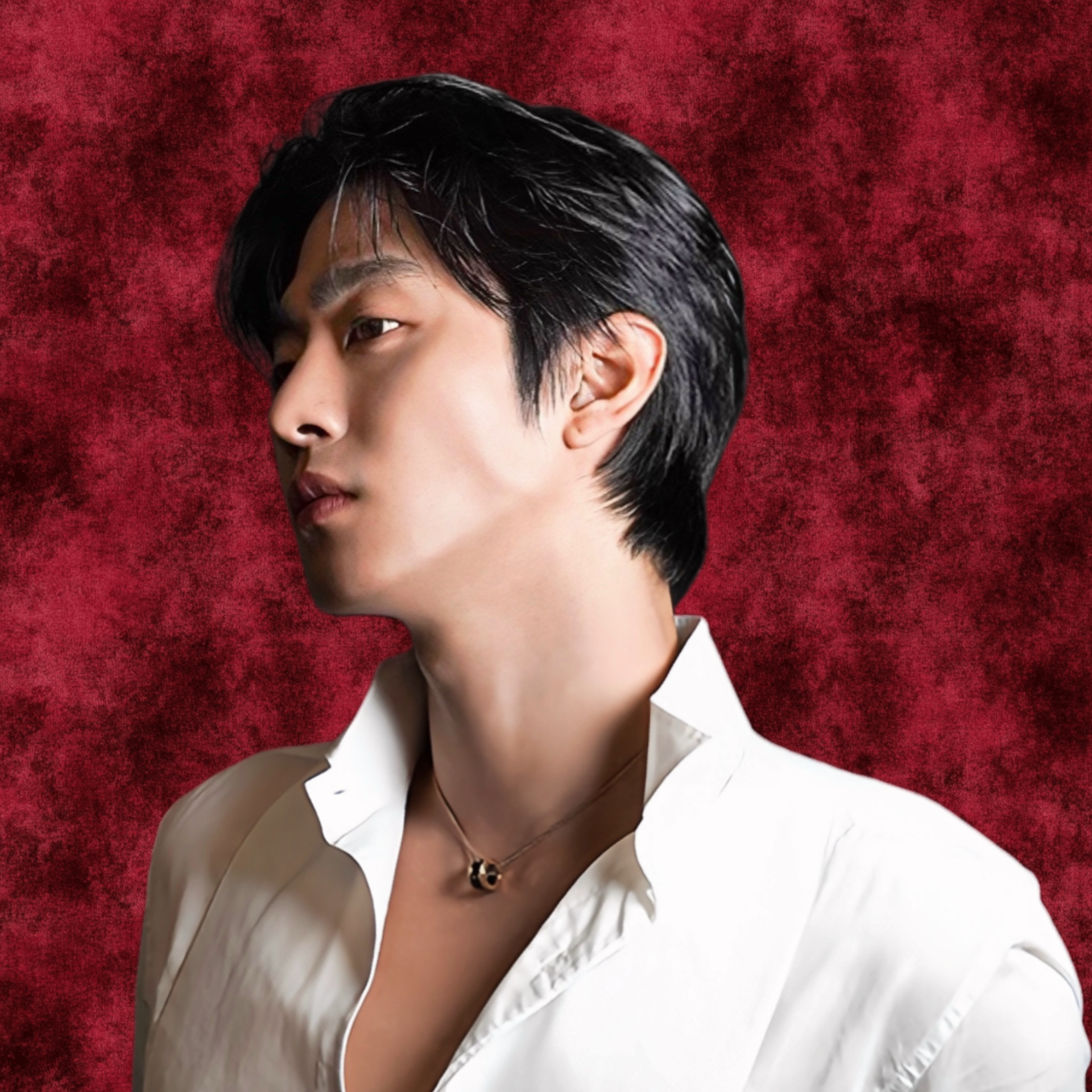 安孝燮的近期活动照