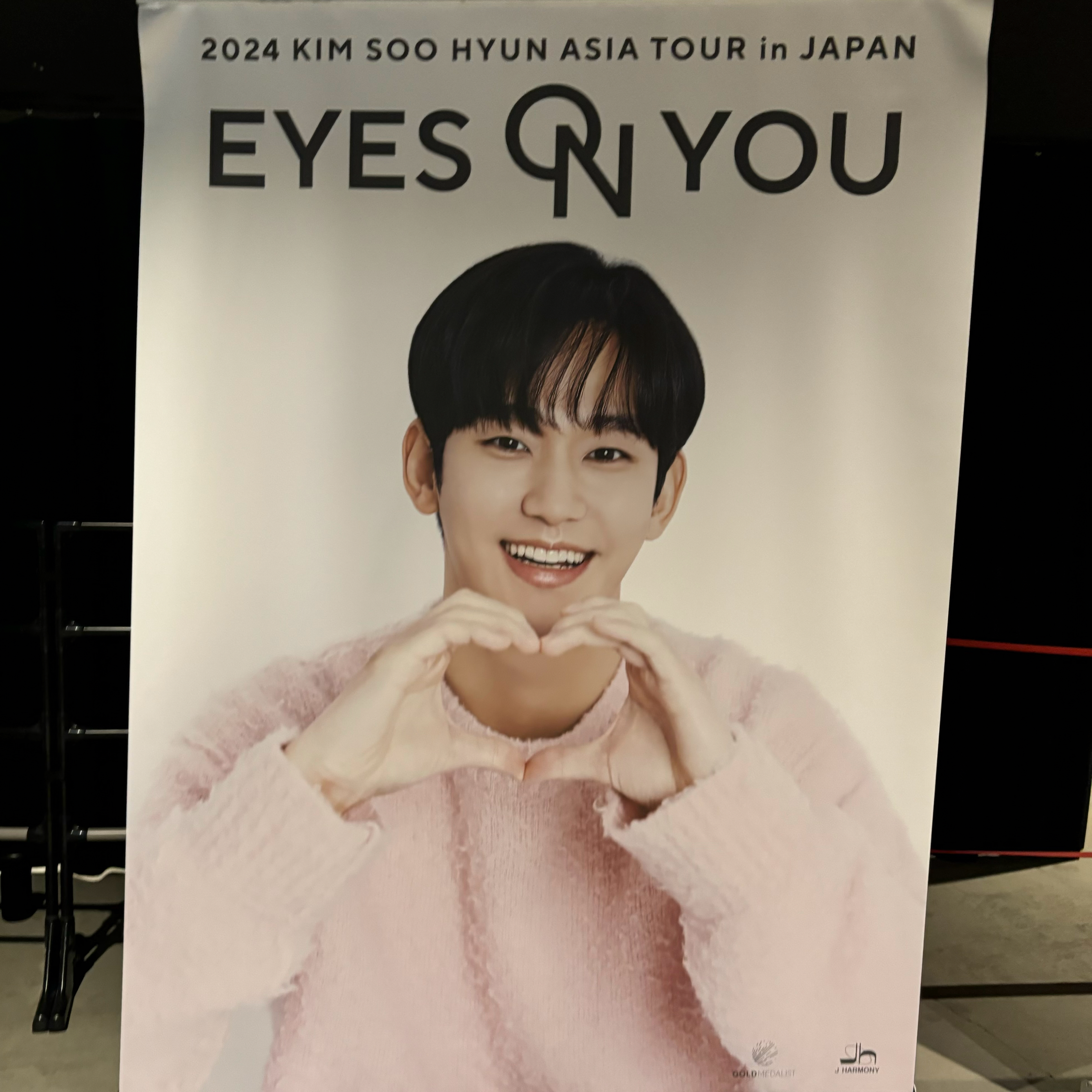 ファンが撮影したキム・スヒョンの瞬間