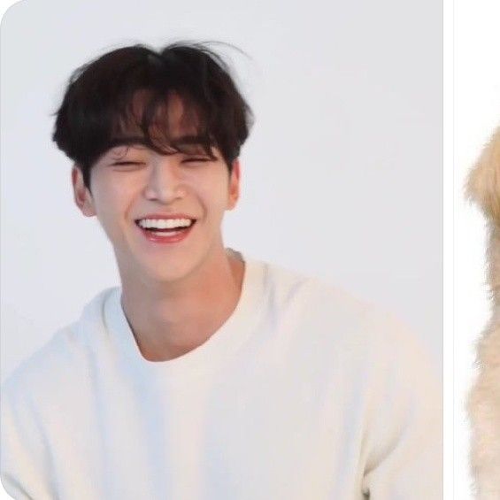 路雲的最新照片