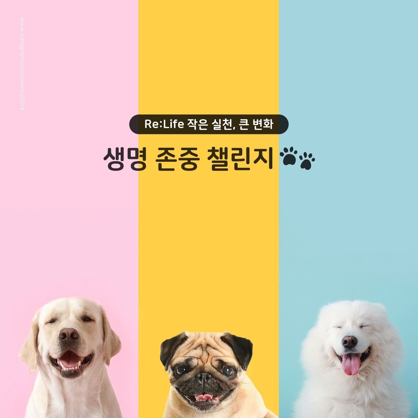 이민호의 비하인드 컷