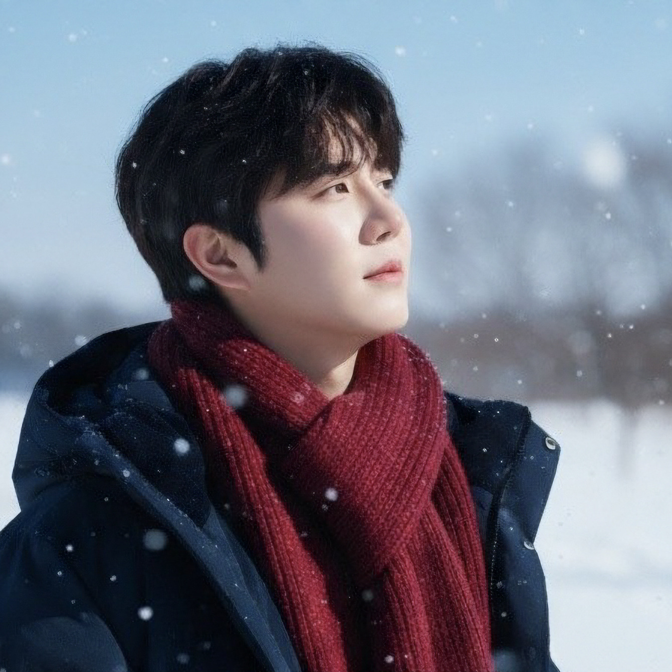 A moment captured by a fan of Jin Haesung