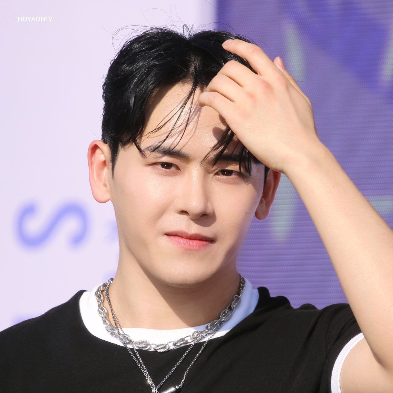 Latest photo of Hoya