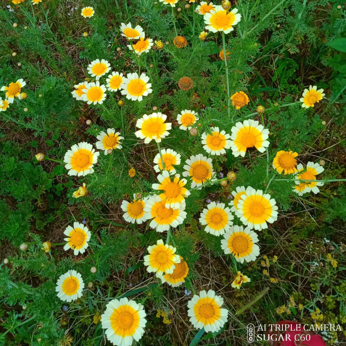 Latest photo of Baekhyun