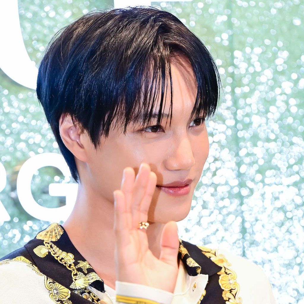 ファンが撮影したカイの瞬間