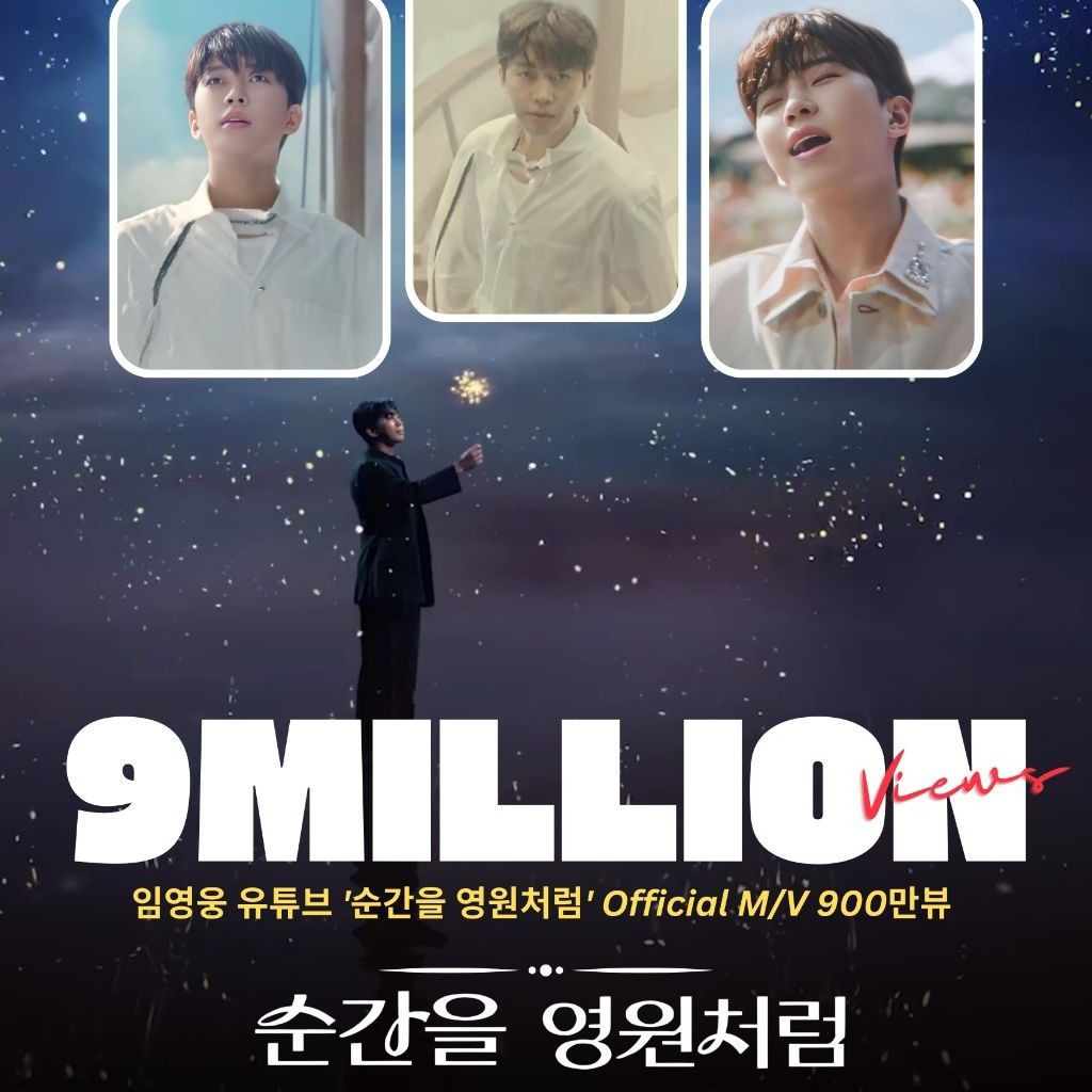 임영웅 팬이 찍은 순간