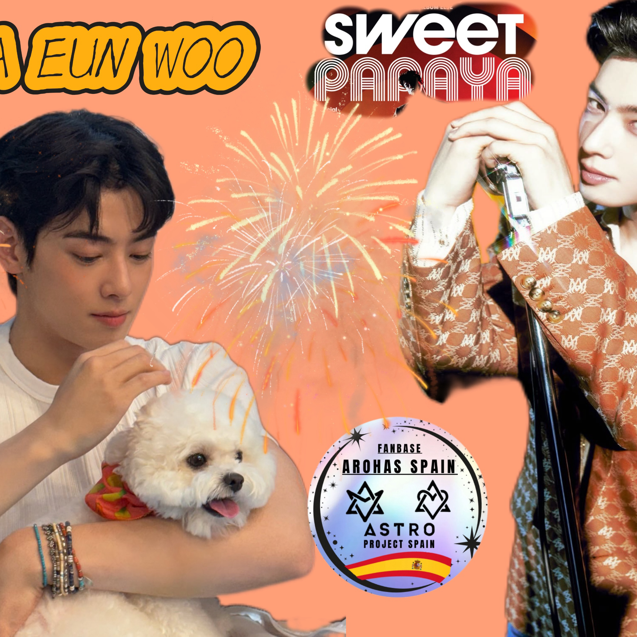 A moment captured by a fan of Cha Eunwoo