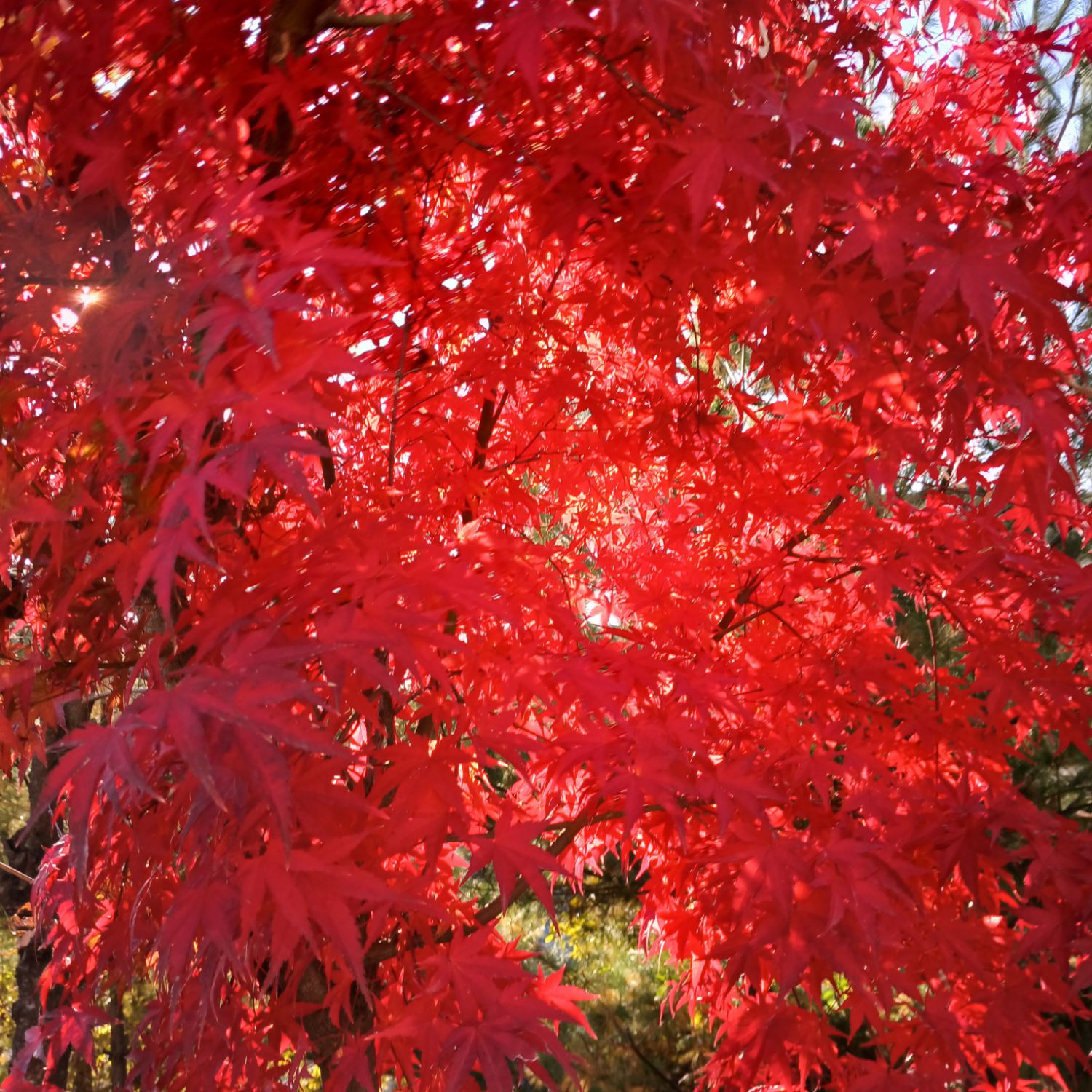 金泰延的最新照片