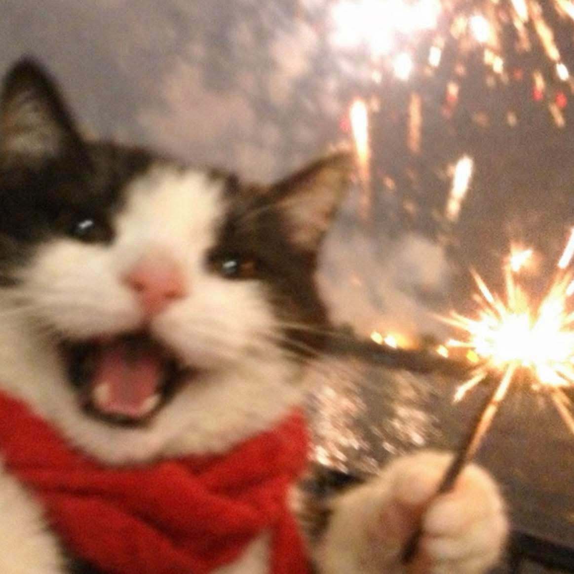 Behind-the-scenes cut of Kim Heeae