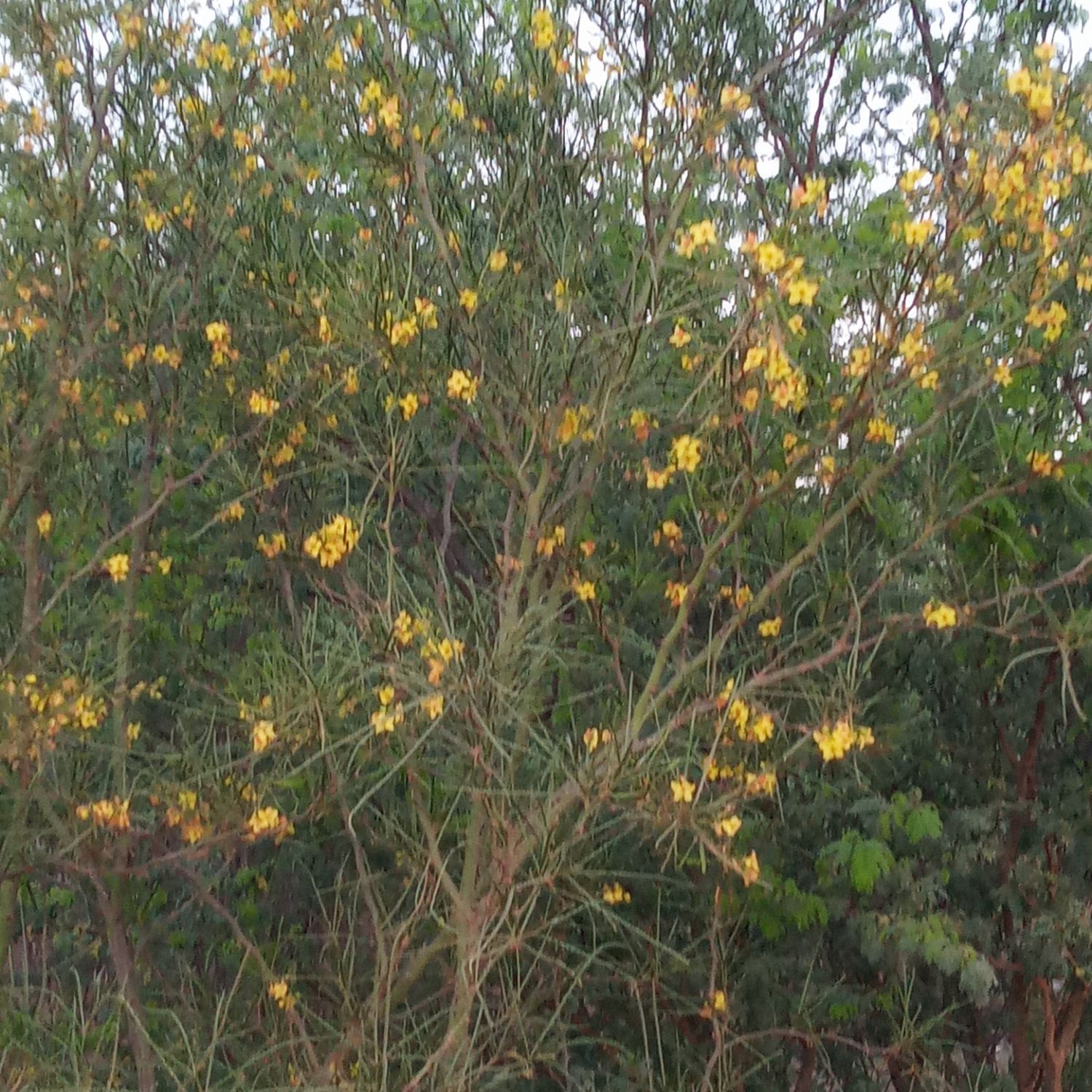 粉絲拍下的池昌旭瞬間