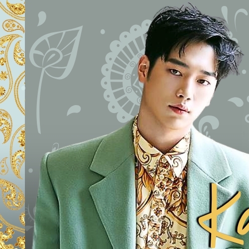 Recent activity shot of Seo Kangjoon