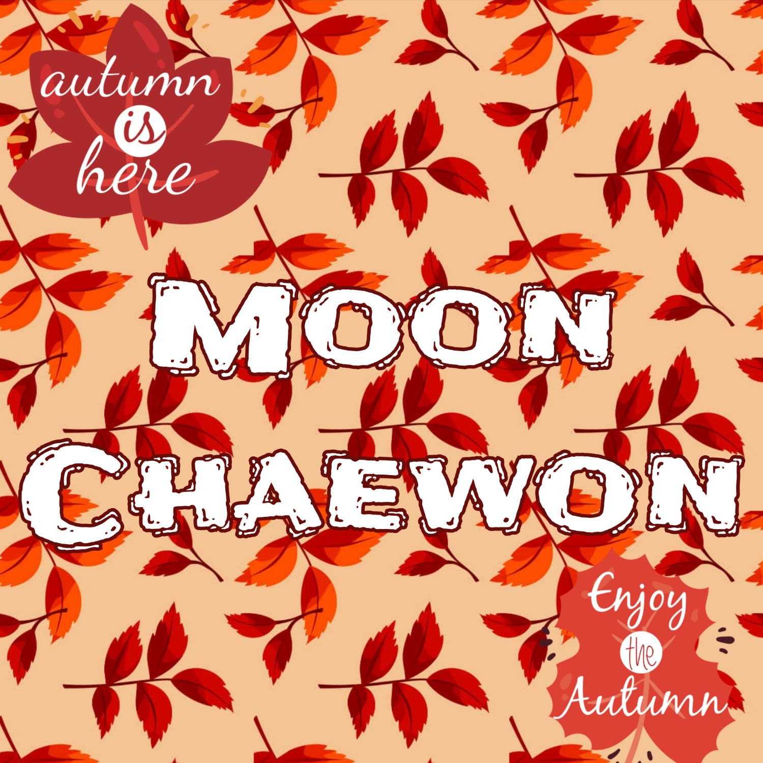 Latest photo of Moon Chaewon