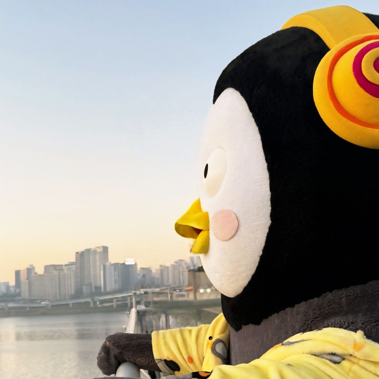 Recent activity shot of Pengsoo