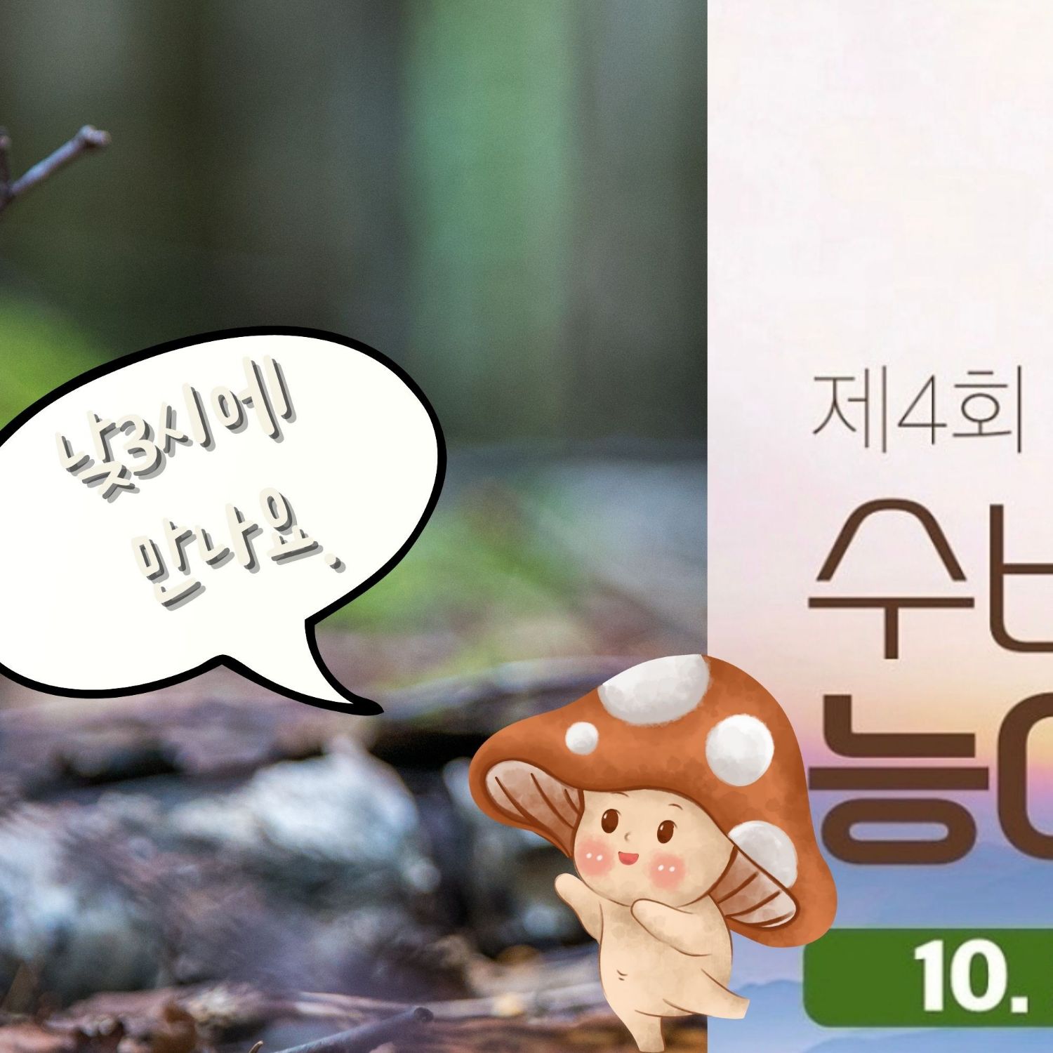 오유진 팬이 찍은 순간